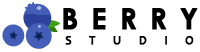  BerryStudio